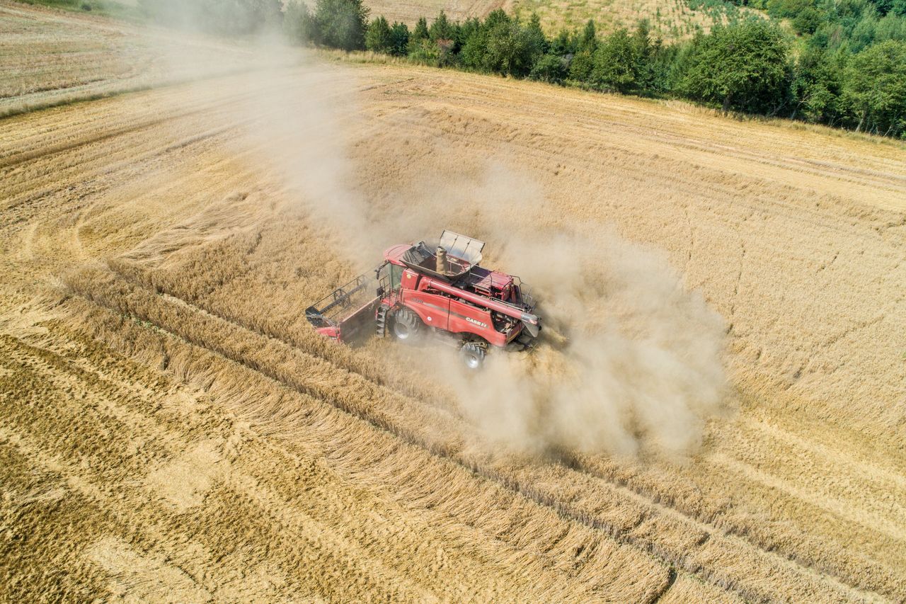 Kolejny kraj chce iść śladami Polski. Bułgaria ma zakazać importu zboża z Ukrainy