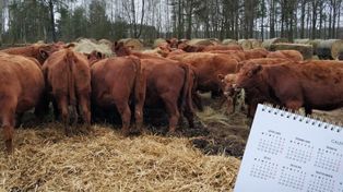 Dobrostan zwierząt 2025. Ważne terminy dla hodowców do 21 marca