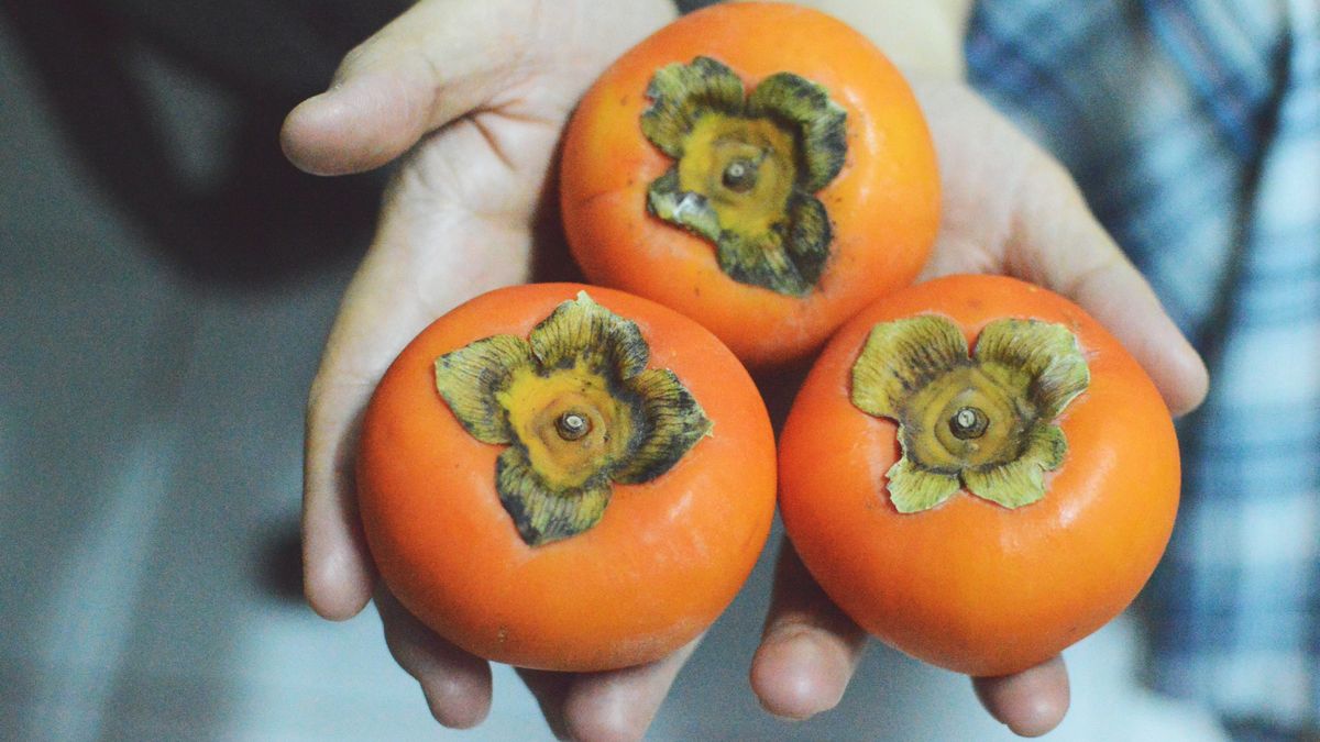 Kaki mają niesamowite właściwości