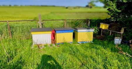 Kradzież uli w powiecie słupskim – policjanci odzyskali mienie warte 20 tys. zł