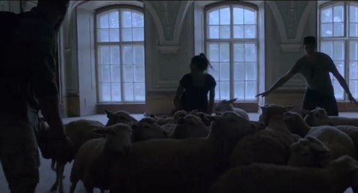 Ruszyła kampania zachęcająca do ostrzegania się przed burzami (wideo)