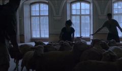 Ruszyła kampania zachęcająca do ostrzegania się przed burzami (wideo)