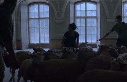 Ruszyła kampania zachęcająca do ostrzegania się przed burzami (wideo)