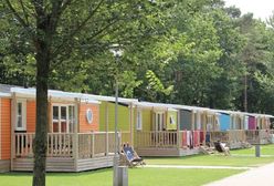 Pozdrowienia z 1980 roku. Pocztówka dotrze do adresatki po czterech dekadach