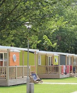 Pozdrowienia z 1980 roku. Pocztówka dotrze do adresatki po czterech dekadach