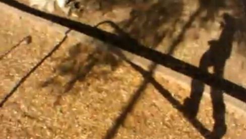 Mirror's Edge z rzeczywistości, tylko Faith jakaś lewa 1