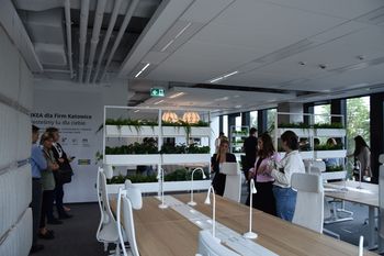 IKEA otworzyła w Katowicach shoowroom. Nowoczesne biuro to coś więcej niż miejsce pracy