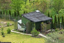 Tego na działkach robić nie wolno. Grozi mandat do 1,5 tys. zł