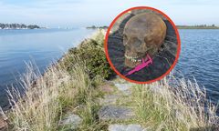 Odkrycie na Pomorzu. Szczątki Niemca. Zaskoczył przedmiot w jego ustach