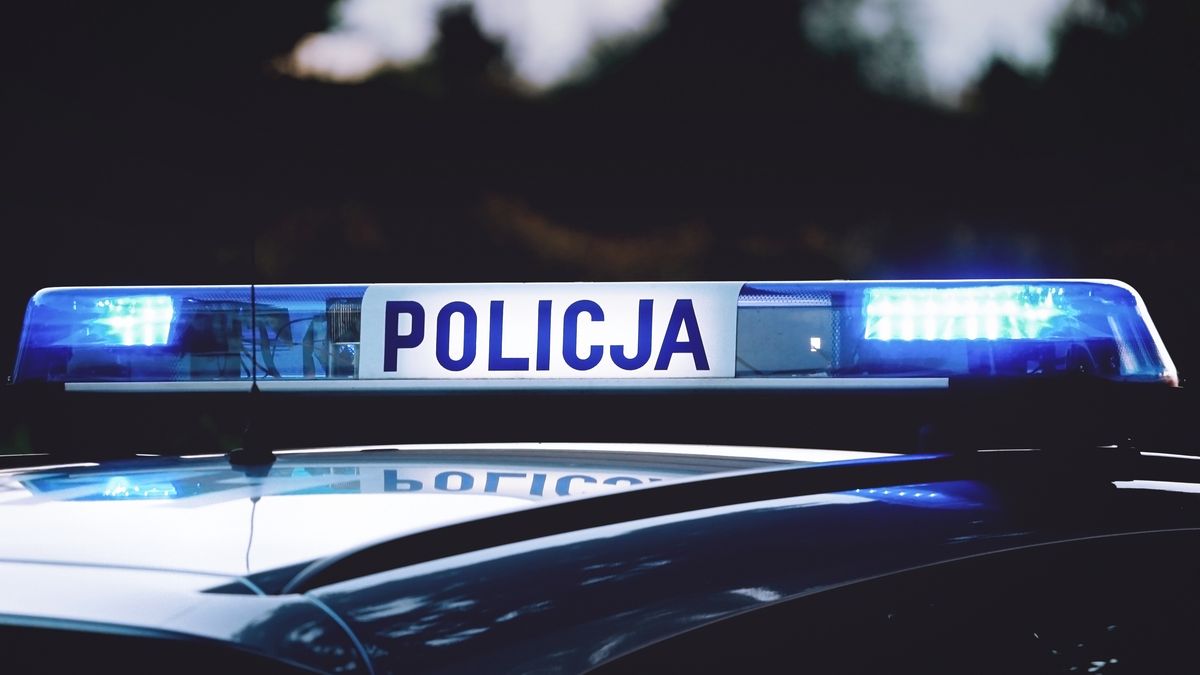 Wyrzucił psa przy ruchliwej drodze. Interweniowała policja