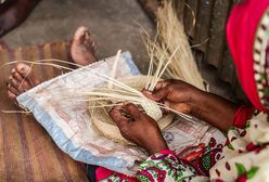 Nowy podatek w afrykańskim raju. Podróżni zapłacą nawet 90 dolarów