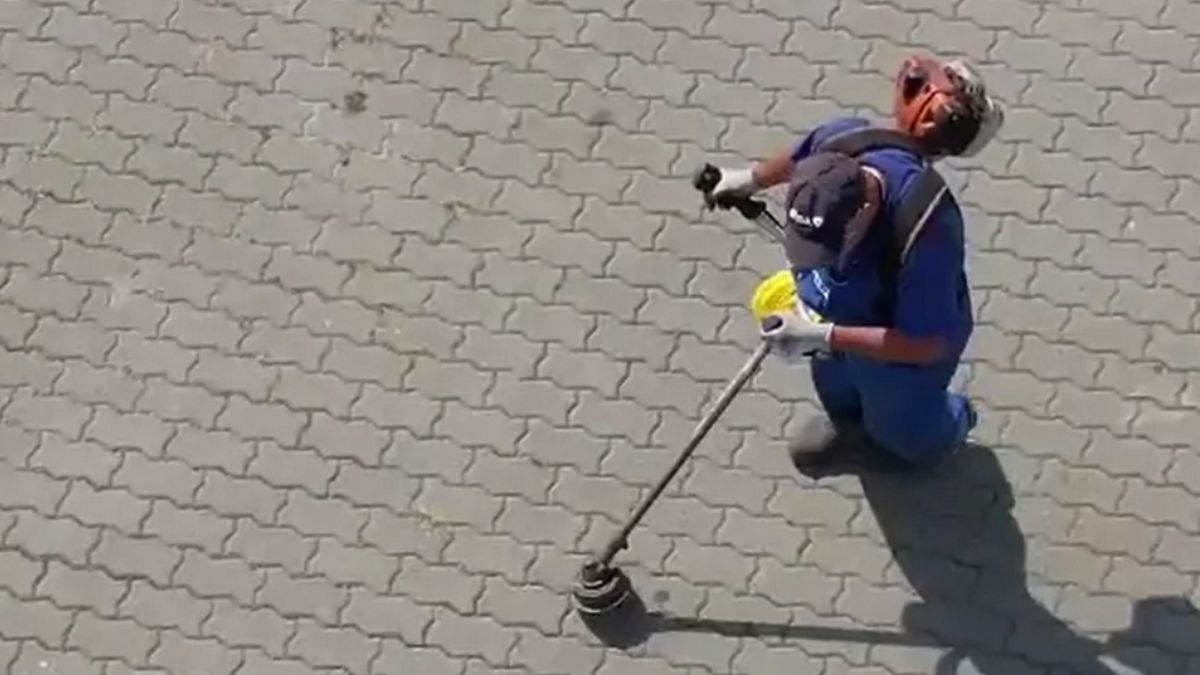 Pracownicy starali się kosić nawet na utwardzonym terenie