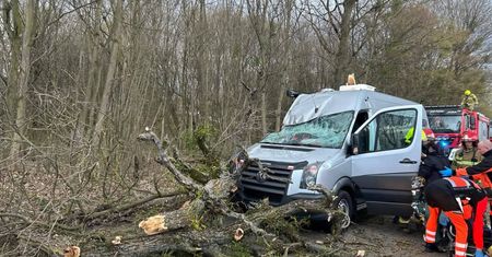 Pogoda robi się niebezpieczna. Konar spadł na przejeżdżające auto