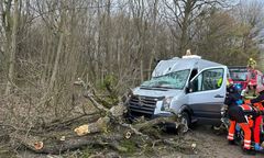 Pogoda robi się niebezpieczna. Konar spadł na przejeżdżające auto