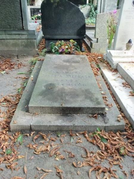 Grób Kazimierza Junoszy-Stępowskiego