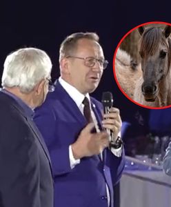 Minister rolnictwa śmieje się z koników polskich. "Piękne swoją brzydotą"