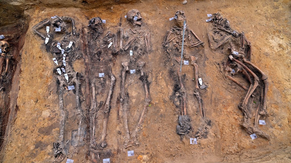 masowa mogi�a
Stargard, 12.10.2022. Drugi sezon badan archeologiczno-genetycznych na terenie by�ego niemieckiego obozu jenieckiego Stalag II-D w Stargardzie, 12 bm. Podczas poprzedniego sezonu bada� naukowcy z Pomorskiego Uniwersytetu Medycznego odkryli szcz�tki 64 je�c�w, g��wnie czerwonoarmist�w. (aldg) PAP/Marcin Bielecki
Marcin Bielecki
badania, je�c�w, mogi�y, niemiecki, obozu, Stalag II-D