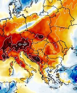 Pogoda. Eksplozja wiosny i arktyczny chłód. Zmiana za zmianą