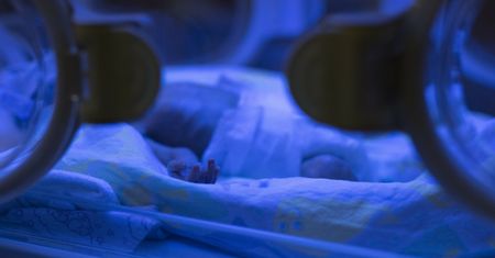 Zielona Góra. Ogromny sukces lekarzy. Nikosiowi przetoczyli krew w łonie matki
