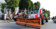 AgroUnia wyjechała na drogi. Protest rolników blokuje ruch w Srocku, korki na S8