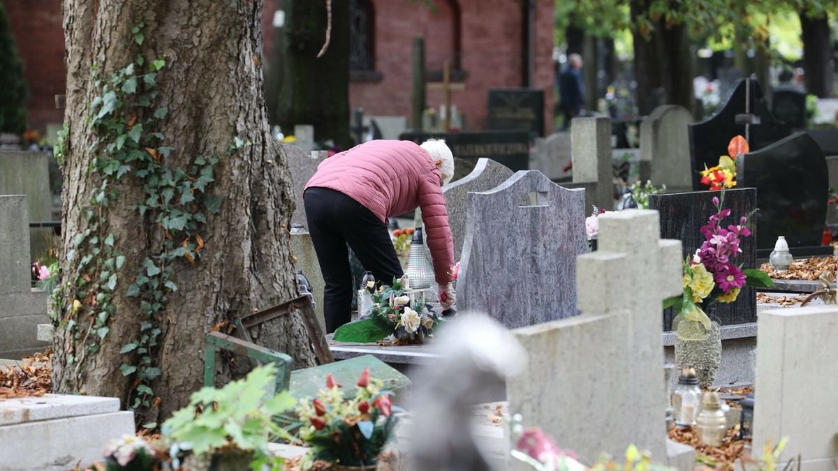 Na zdjęciu cmentarz przy ulicy Francuskiej w Katowicach