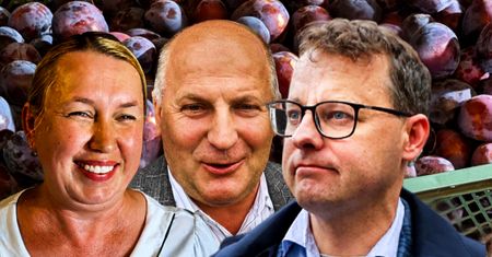 Biuro Romanowskiego rozdaje śliwki. Nikt nie wie, kto je kupił
