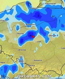 "Może wyrywać drzewa w Polsce". Najnowsza prognoza