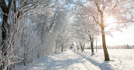 Siarczyście mroźna noc za nami. We wtorek nad Lubelszczyzną słońce, ale mróz nie odpuści