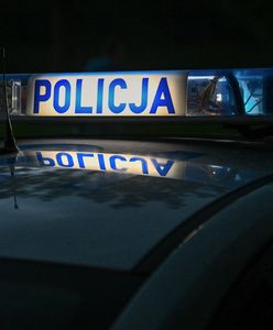 Strzelanina w Wielkopolsce. Policja zakończyła obławę