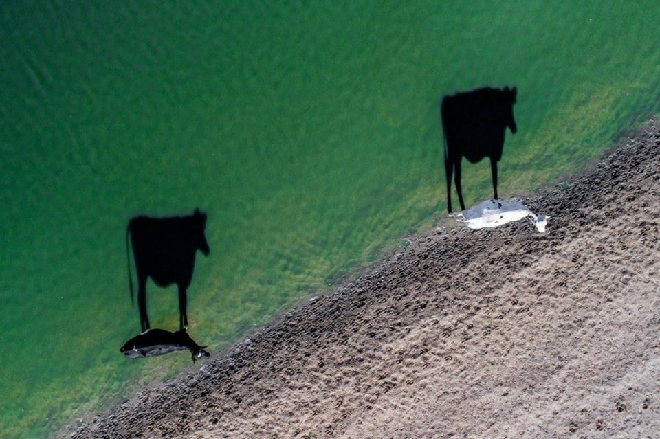 Dronestagram 2017, czyli zdjęcia z bardzo wysokiego poziomu