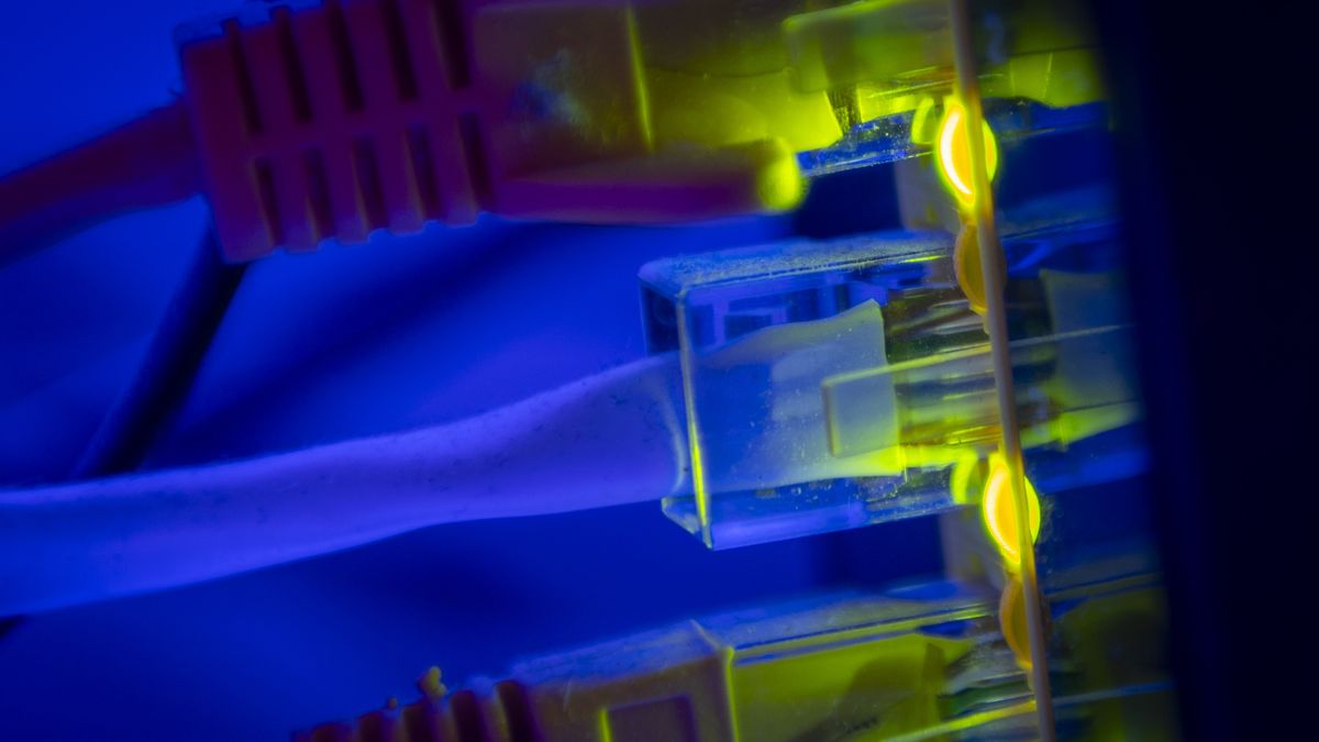Ethernet calbe wires lighting up connected to an internet router modem are seen against a blue background in Warsaw, Poland in this illustration photo taken on 17 April, 2024. (Photo by Jaap Arriens/NurPhoto via Getty Images)