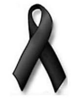 TP i Orange pomagają ofiarom wypadku we Francji 1