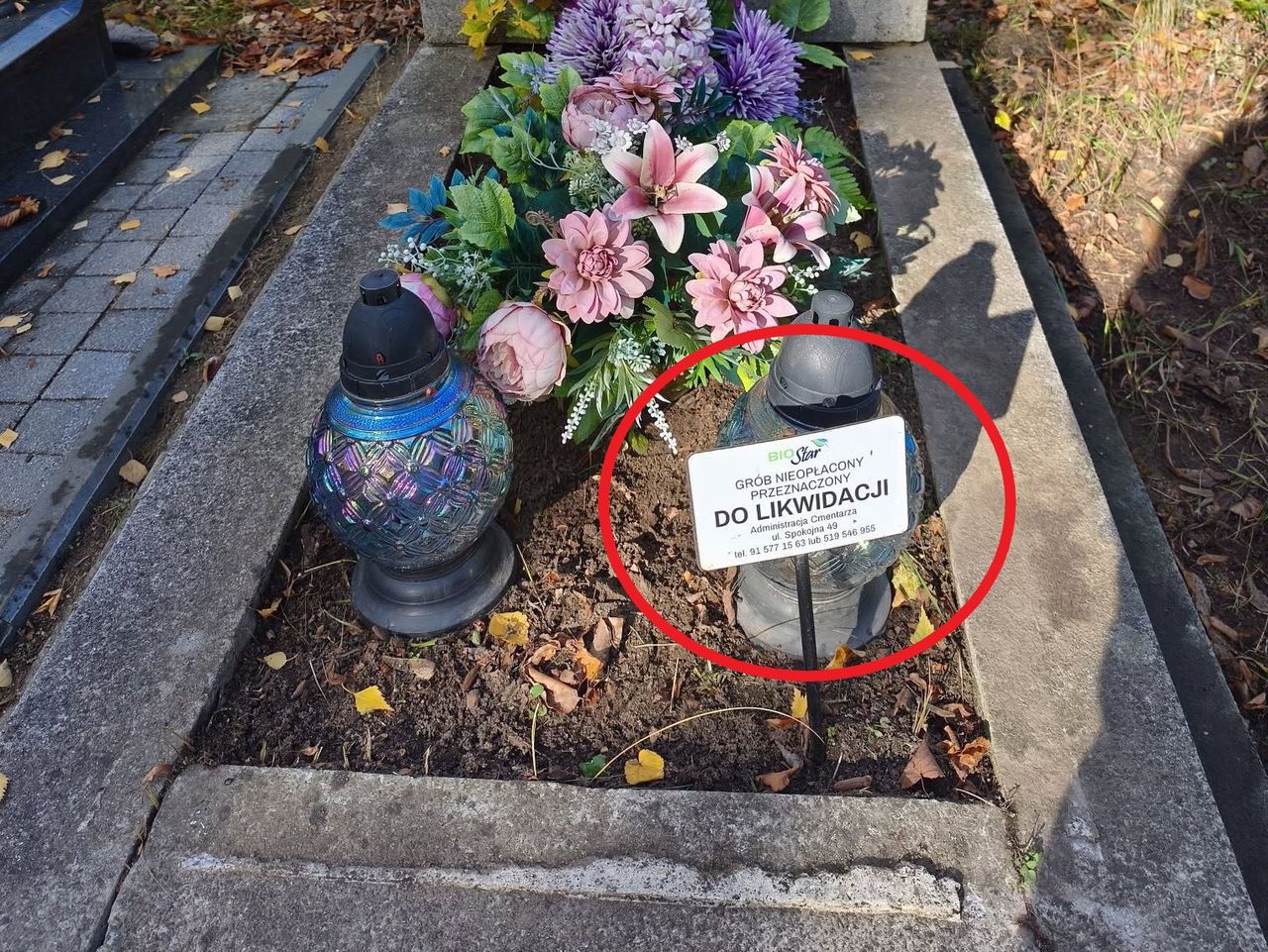Zobaczyła tabliczkę "Grób do likwidacji". Oto, co zrobiła
