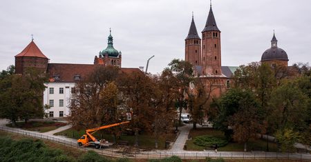 Pielęgnacja zieleni w Jarze Abisynia – miasto zadba o drzewa i tereny zielone w Płocku