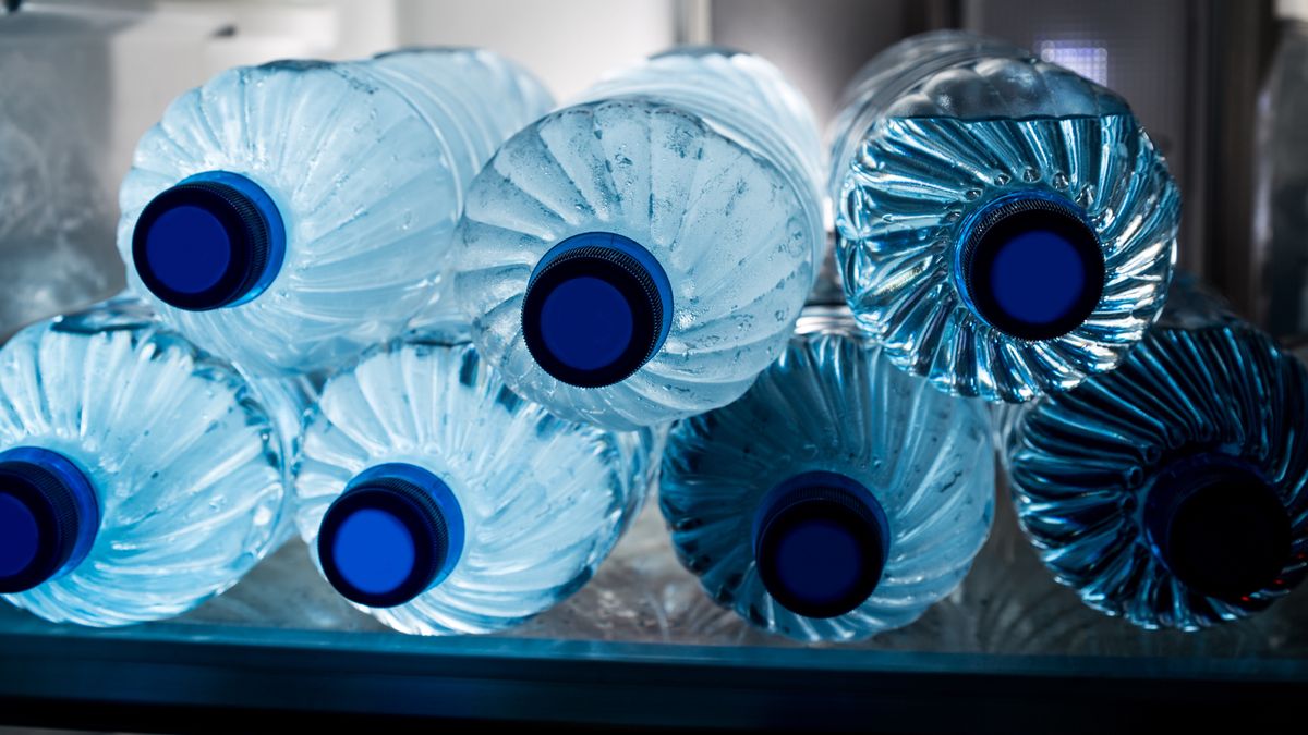 Bisfenol A jest toksyczny