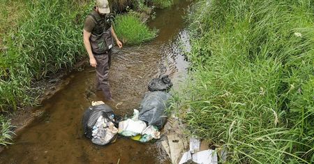"Trudno o cenzuralne słowa". Leśnicy mają dość