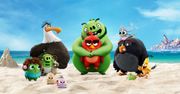 Netflix nie skreśla Angry Birds. Powstanie serial animowany