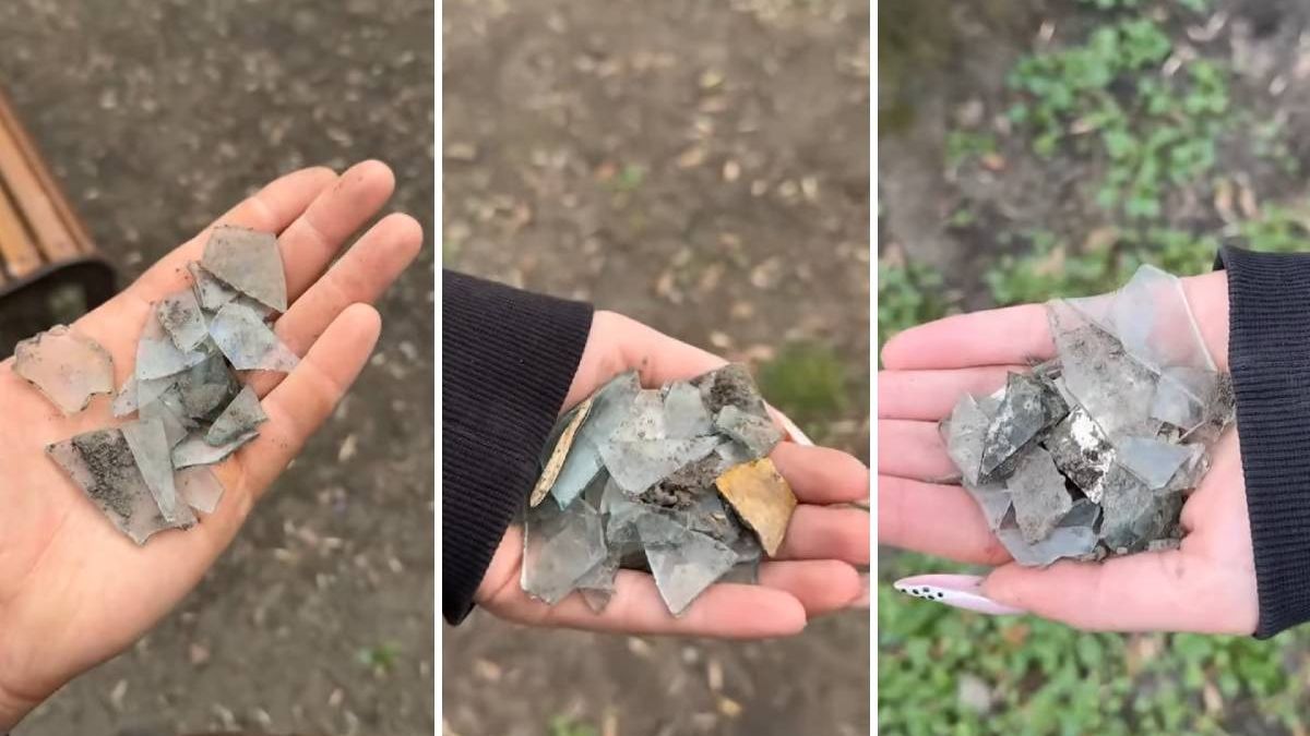 Znalezione kawałki szkła na terenie wybiegu dla psów w Parku Ludowym