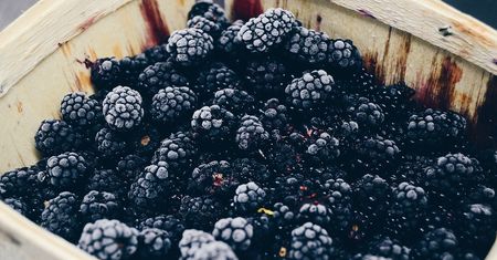 BlackBerry zaprojektuje oprogramowanie dla samochodów Jaguara i Land Rovera