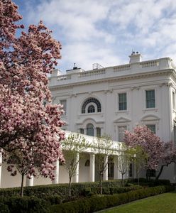 Donald Trump robi porządki w Białym Domu. Wytnie 200-letnią mangnolię