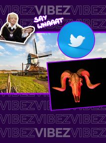 Holenderskie miasto pozywa Twittera. Chodzi o historię o satanistach-pedofilach