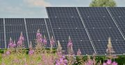 Olbrzymie magazyny energii powstaną w Polsce. Umowa już podpisana
