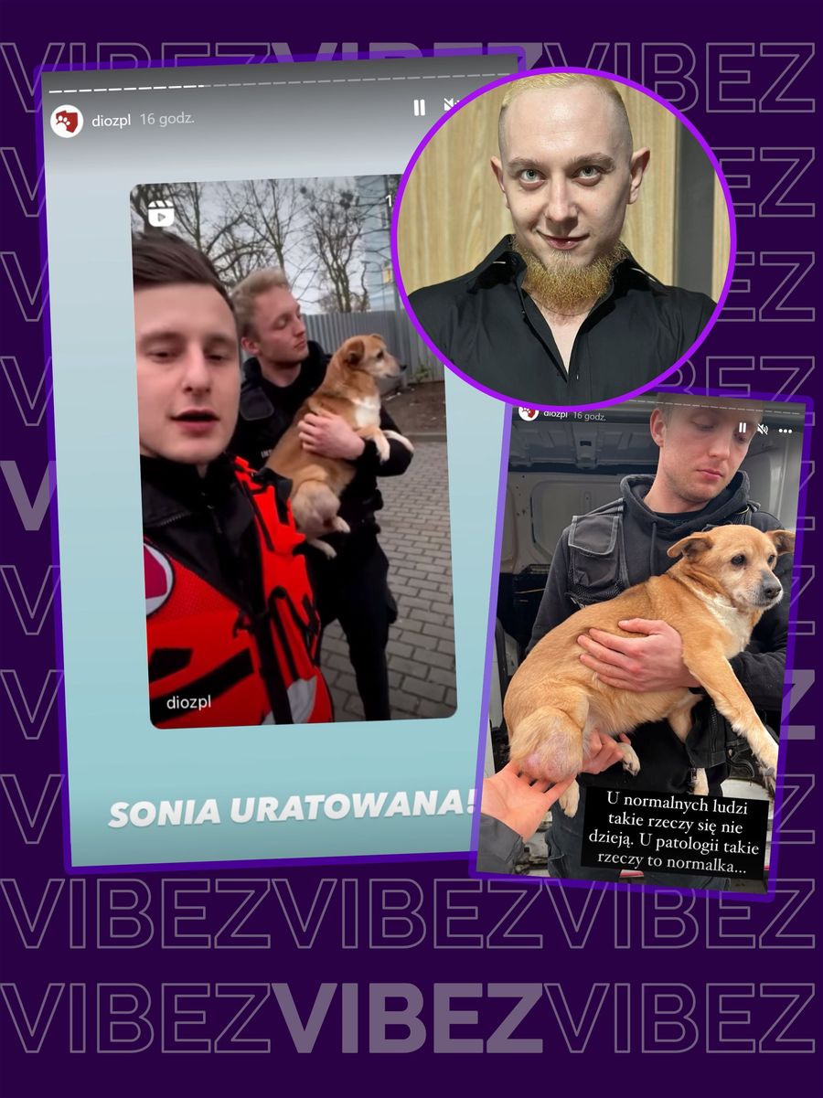 DIOZ zabrał Danielowi Magicalowi psa, Sonię.