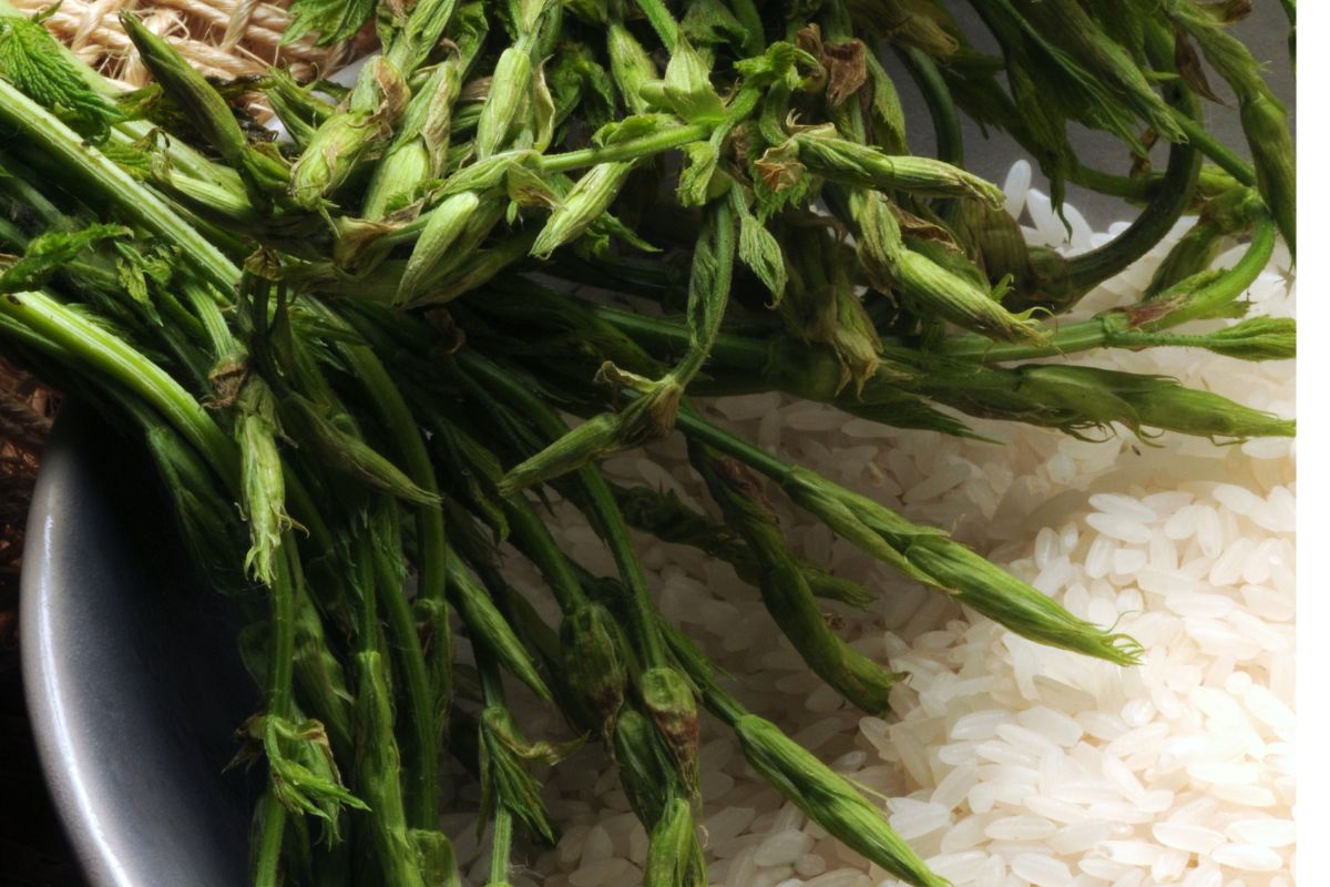 Polacy zadeptują, bo nie wiedzą, że są warte fortunę. We Włoszech to prawdziwy rarytas