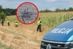 Ekspert mówi o błędach MON. "Teraz Rosjanie wiedzą, że ich drony są bezkarne"