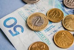 Rząd dorzuci pieniądze do hodowli. Oto kto może liczyć na dotacje