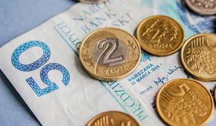 Rząd dorzuci pieniądze do hodowli. Oto kto może liczyć na dotacje