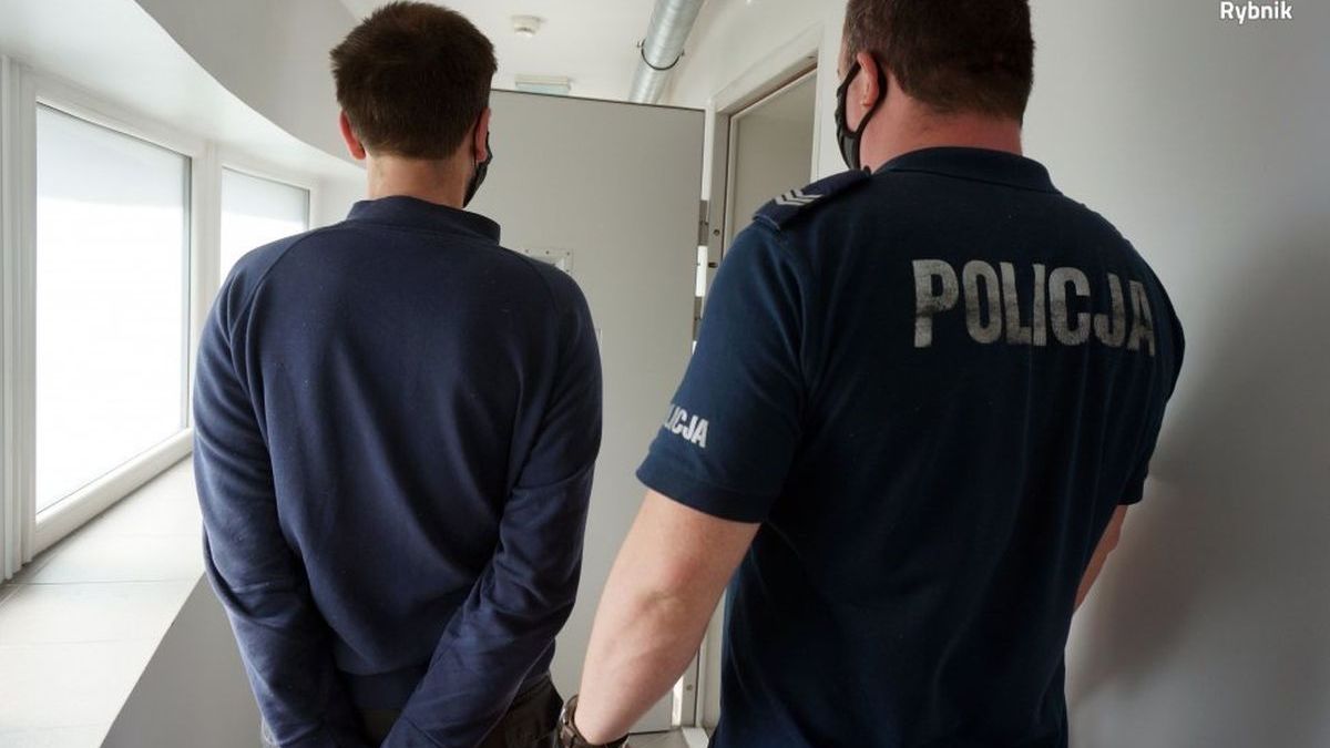W Rybniku zatrzymano 37-letniego pedofila
