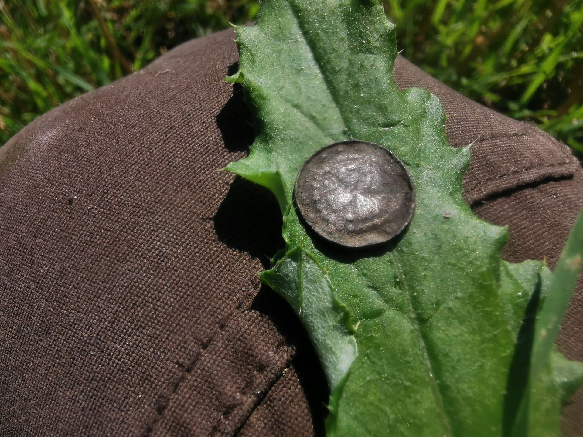 Odkrycie archeologiczne w Lelowie