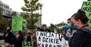 List naukowców: stop wycince Puszczy Karpackiej
